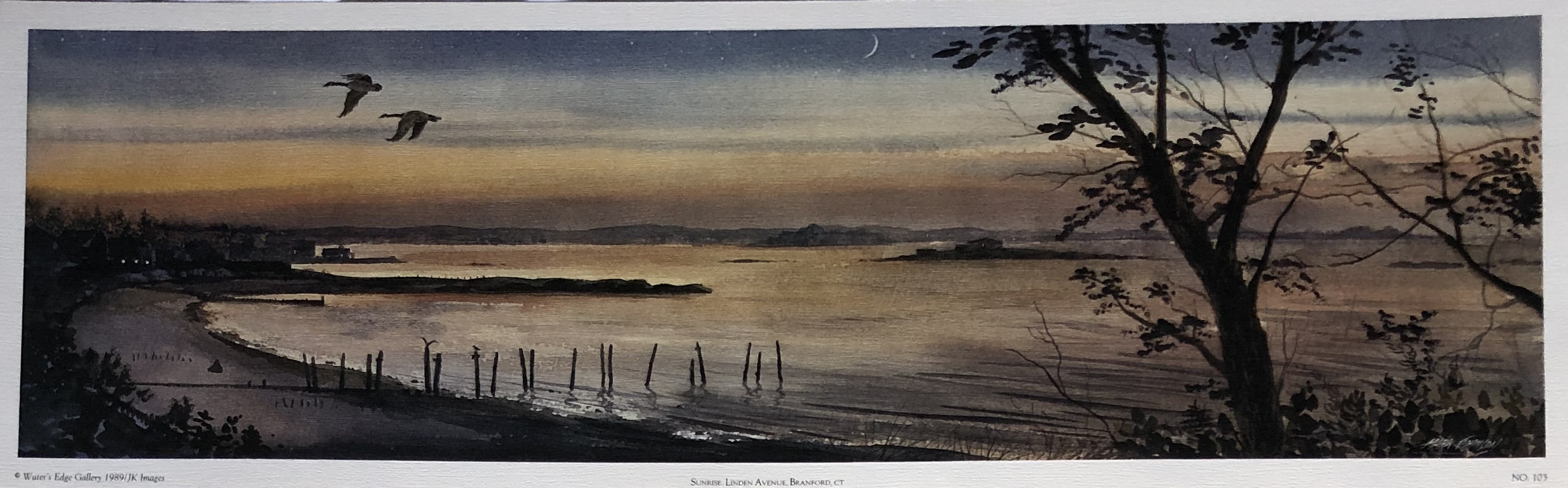 Sunrise over Linden Avenue by Mark Johnson (8" x 28")